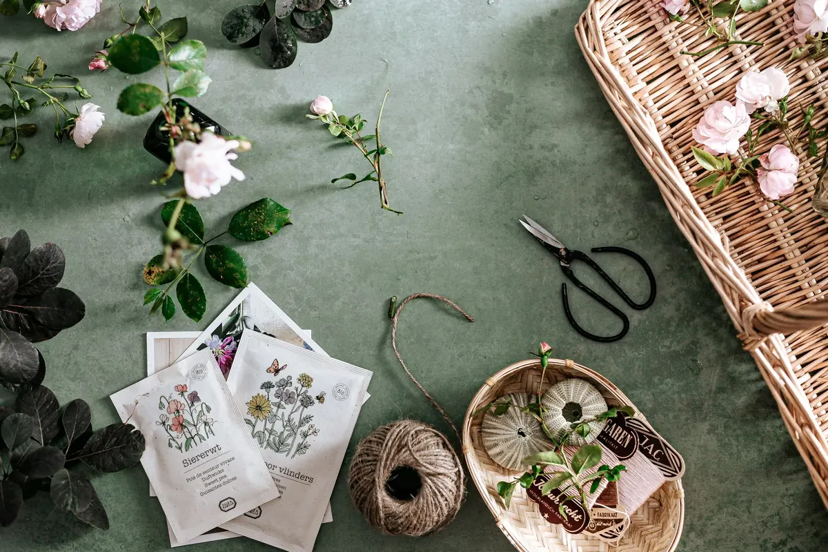 What to Sow and Plant in the UK Each Month: A Seasonal Checklist